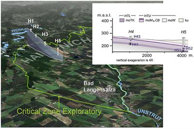 Microbial degradation and assimilation of veratric acid in oxic and anoxic groundwaters